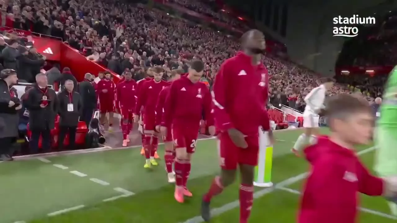 zaslepka skrotu video