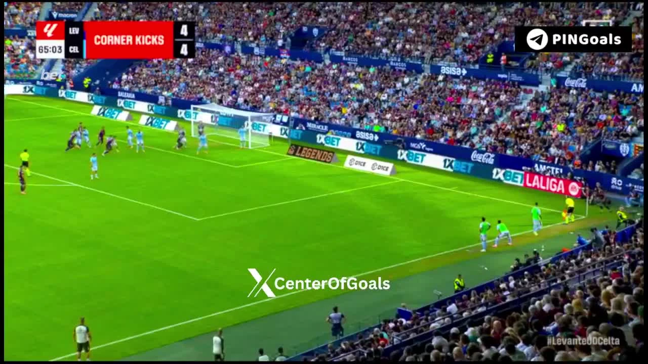 zaslepka skrotu video