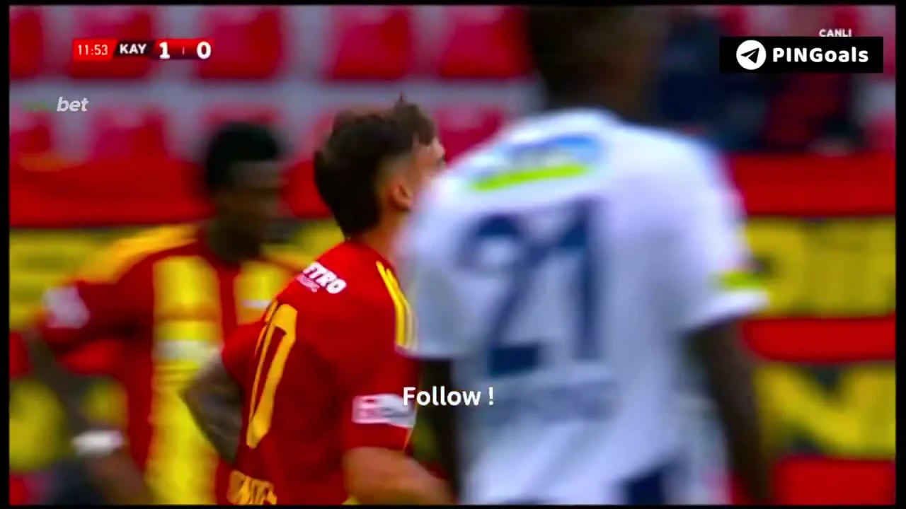 zaslepka skrotu video