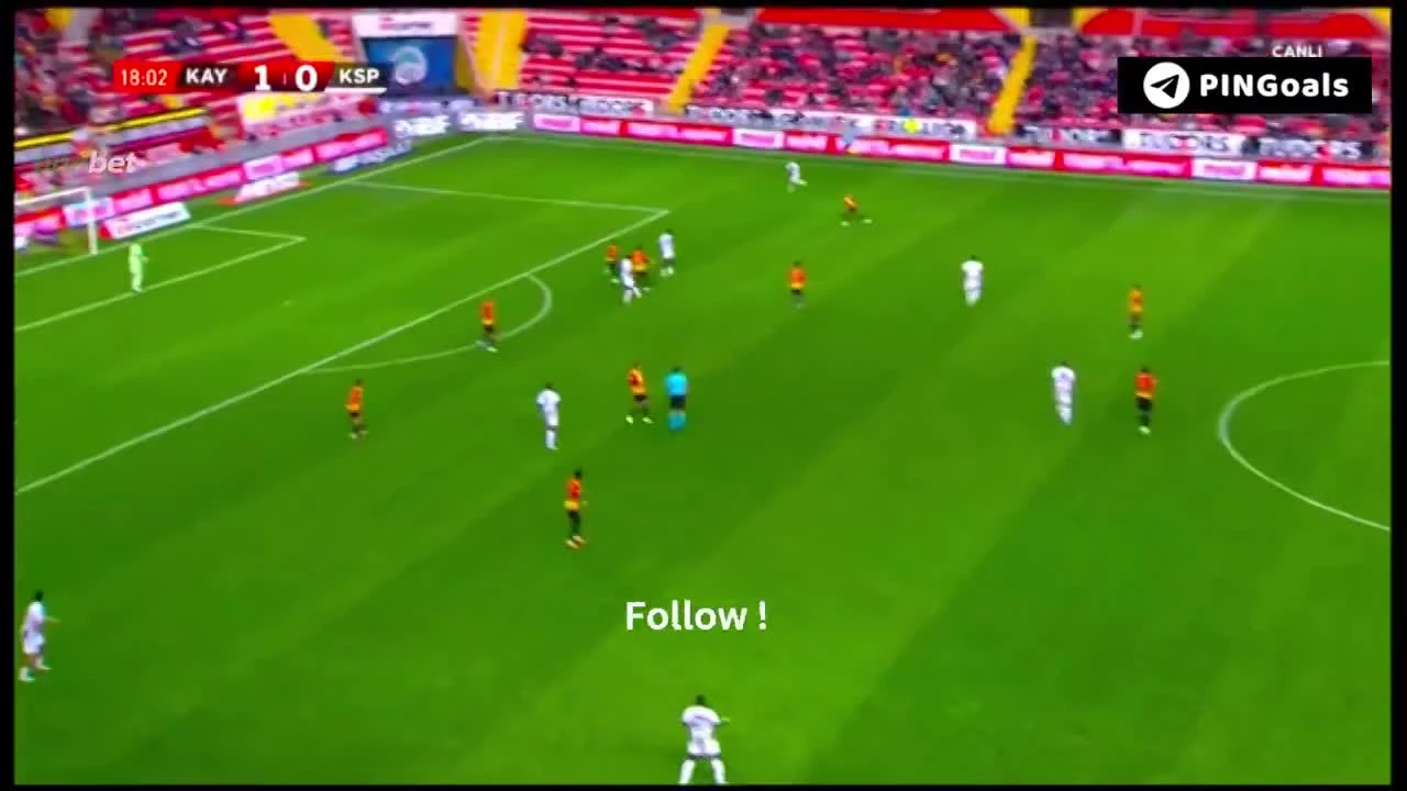 zaslepka skrotu video