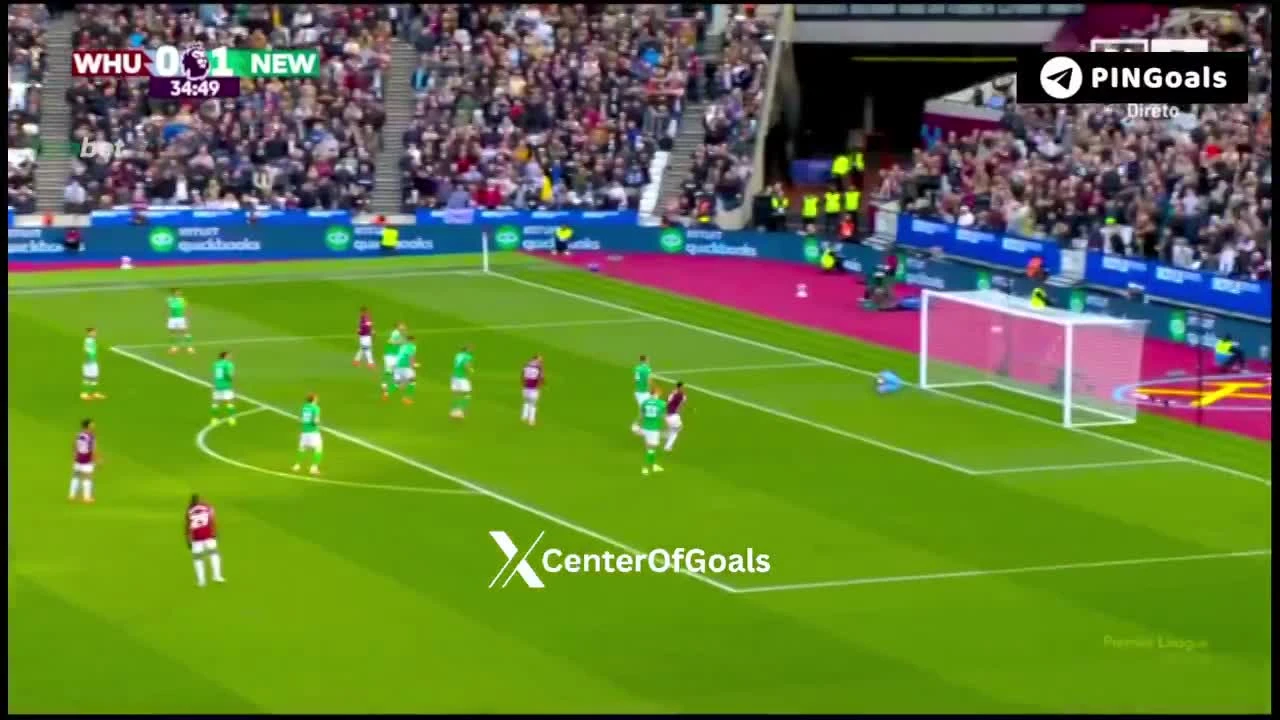 zaslepka skrotu video