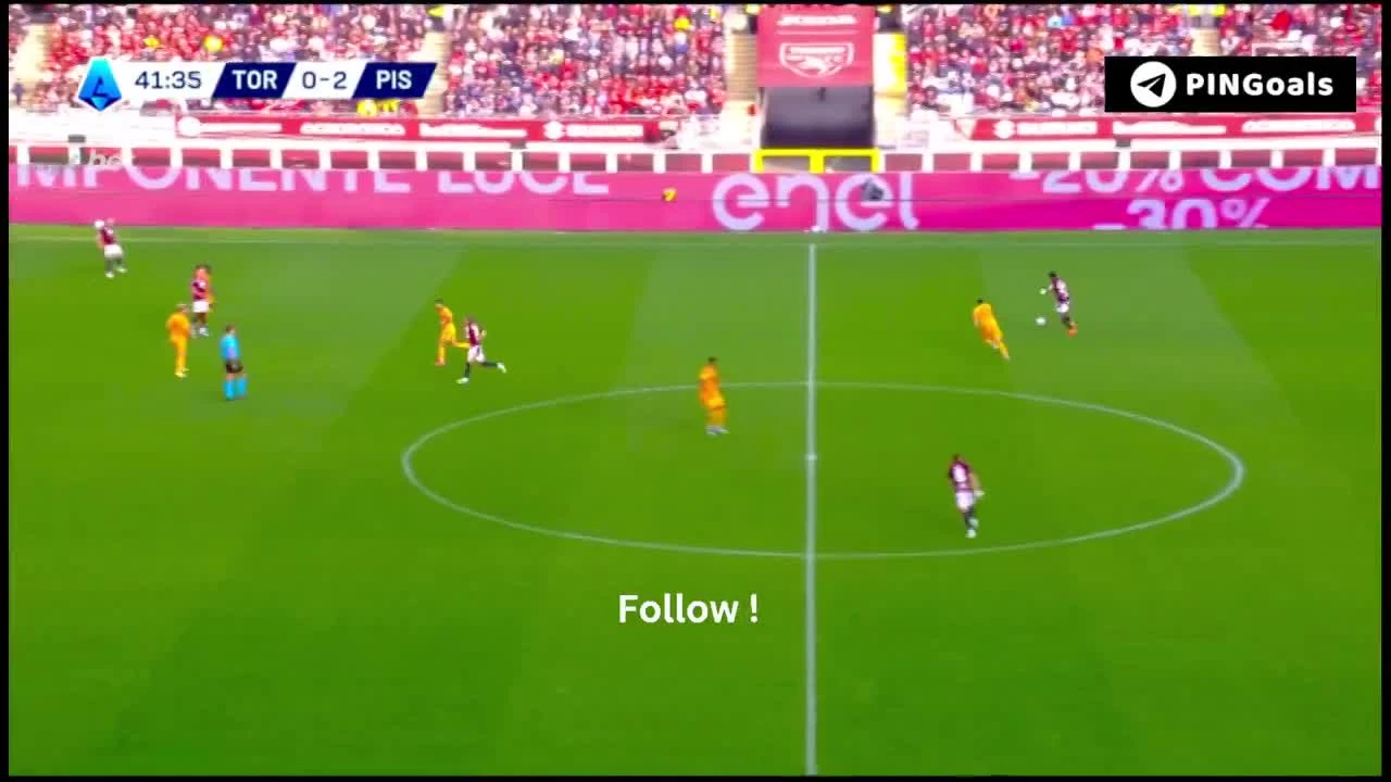 zaslepka skrotu video