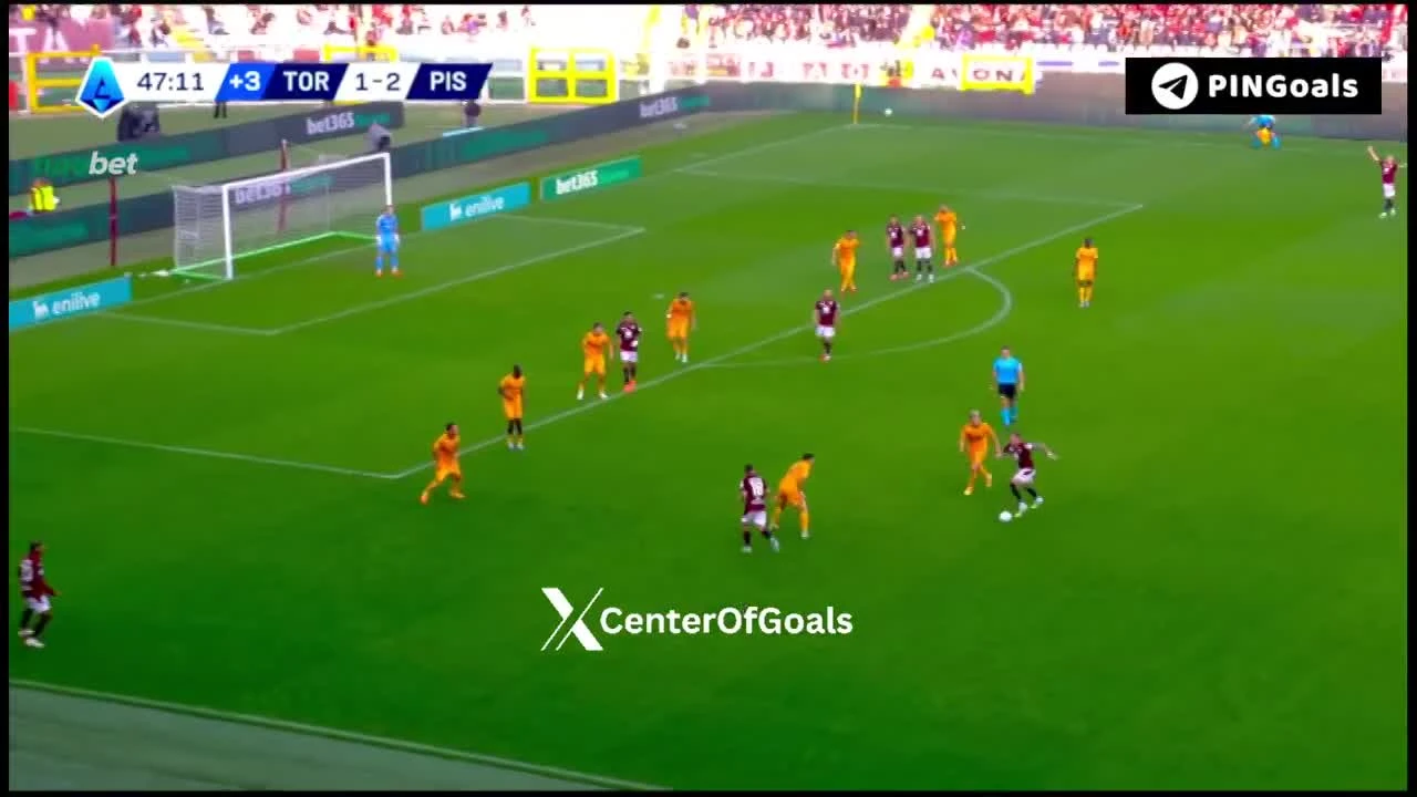 zaslepka skrotu video