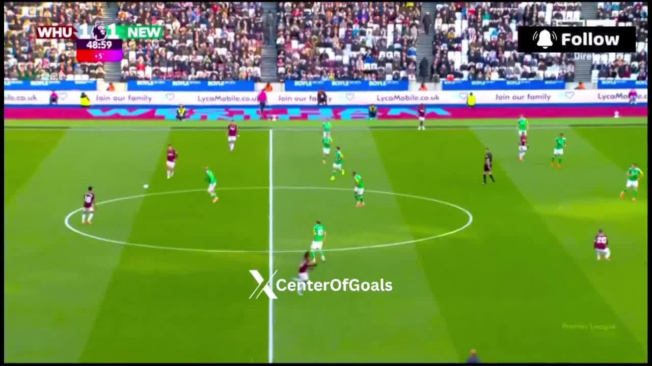 zaslepka skrotu video