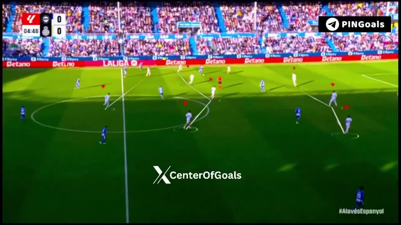 zaslepka skrotu video