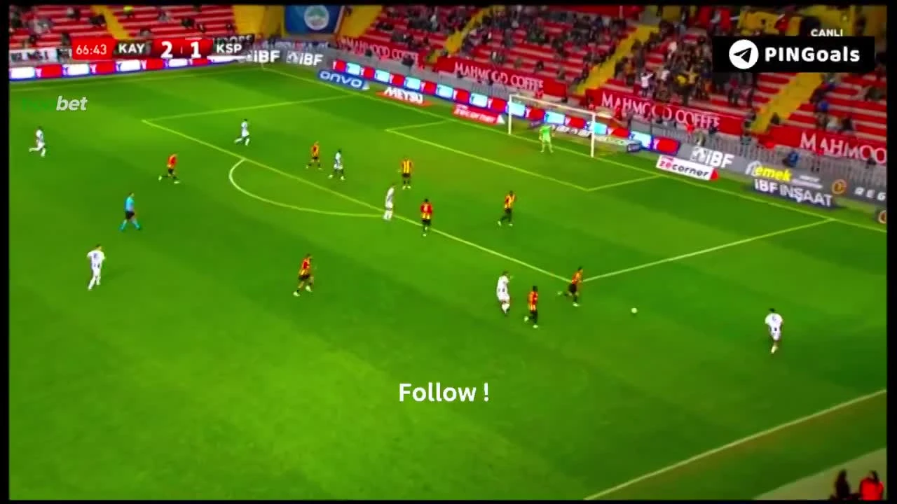 zaslepka skrotu video