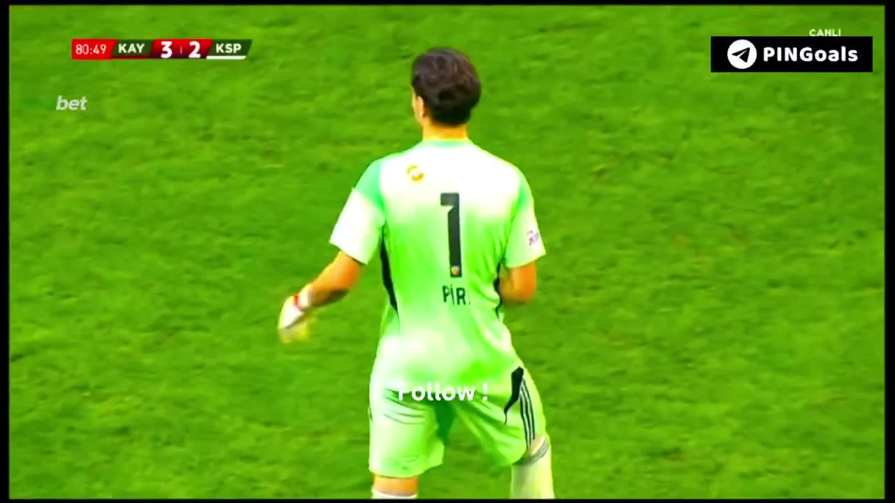 zaslepka skrotu video