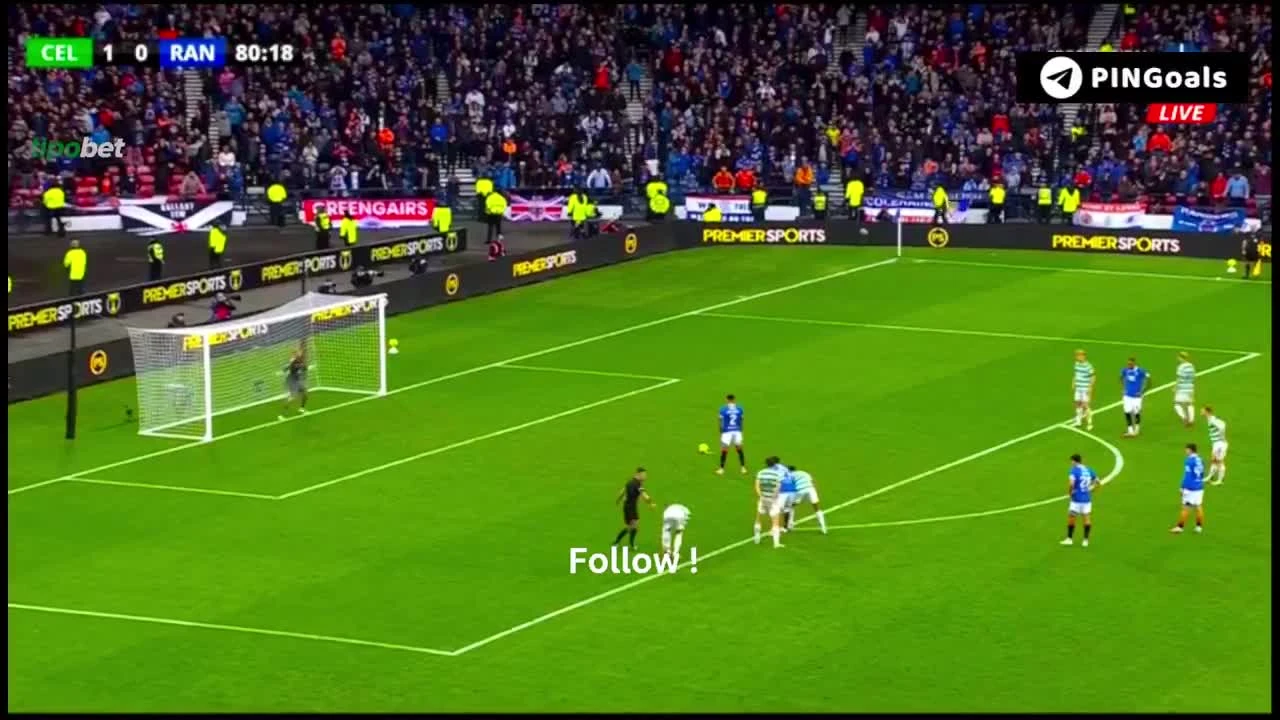 zaslepka skrotu video