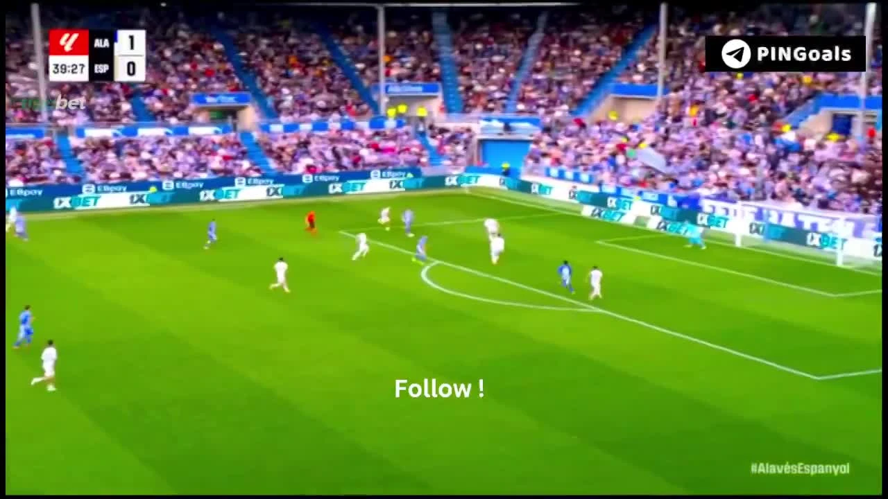 zaslepka skrotu video