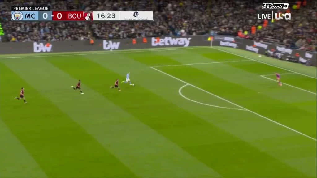 zaslepka skrotu video