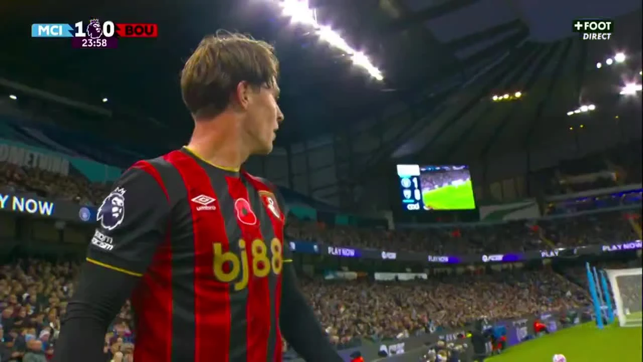 zaslepka skrotu video