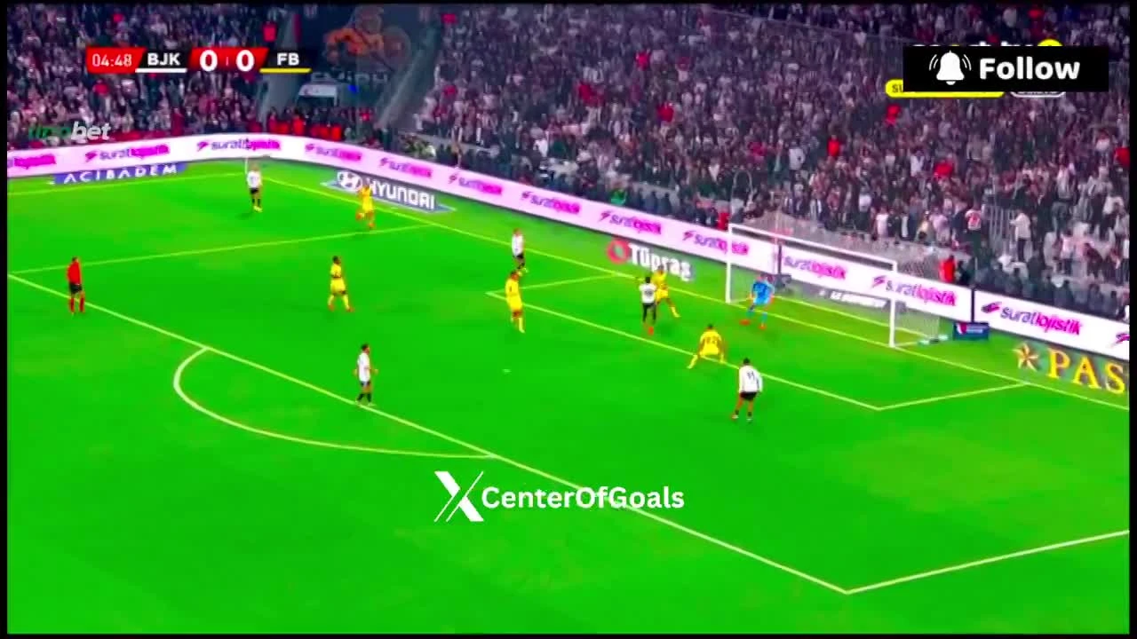 zaslepka skrotu video