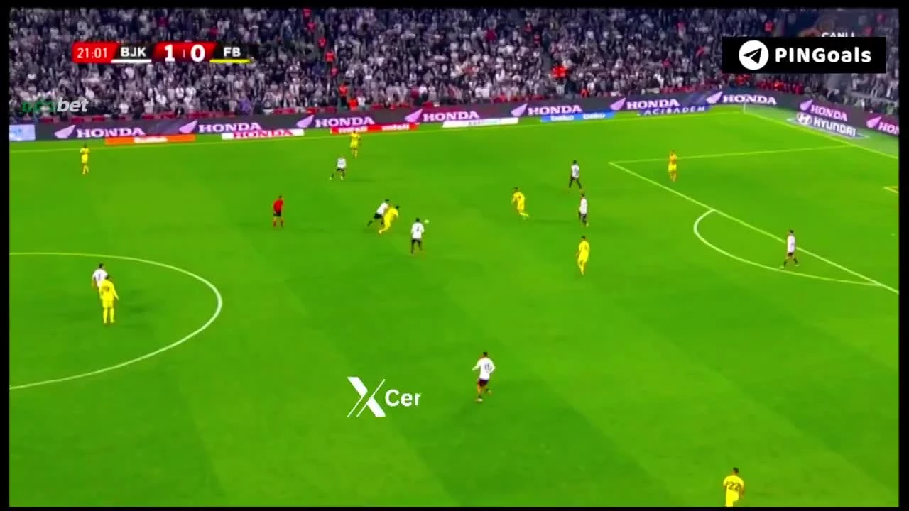 zaslepka skrotu video