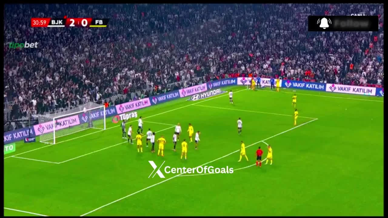 zaslepka skrotu video