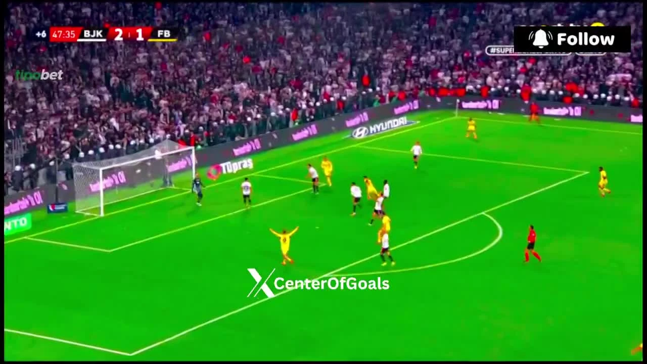 zaslepka skrotu video