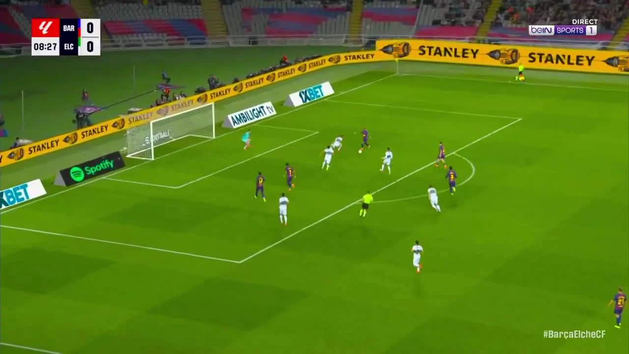 zaslepka skrotu video