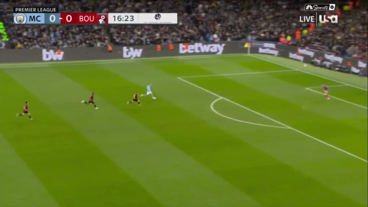 zaslepka skrotu video