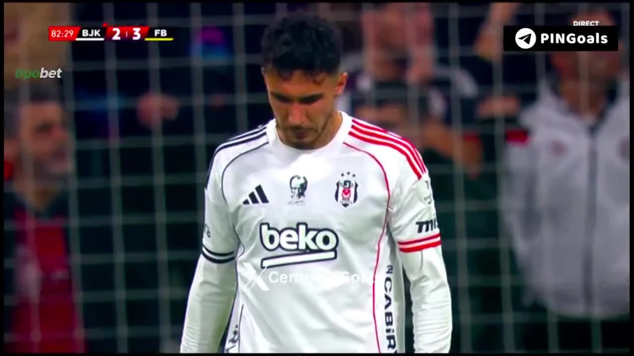 zaslepka skrotu video