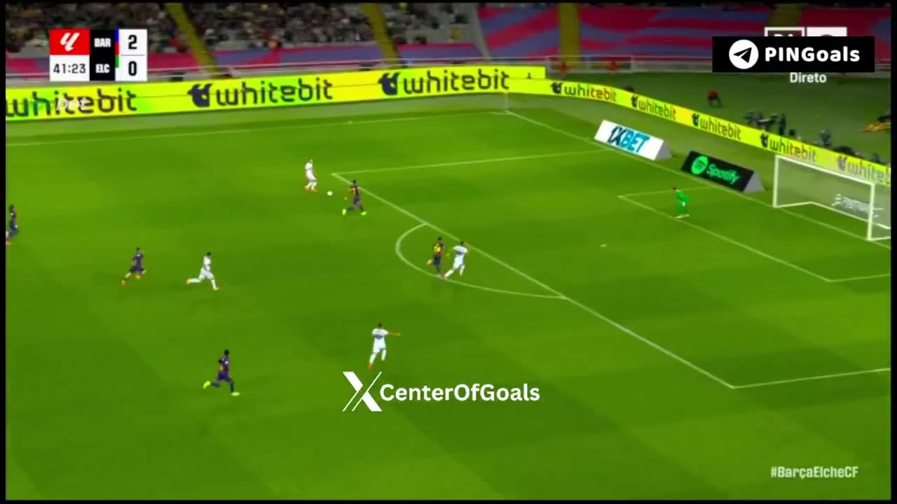 zaslepka skrotu video