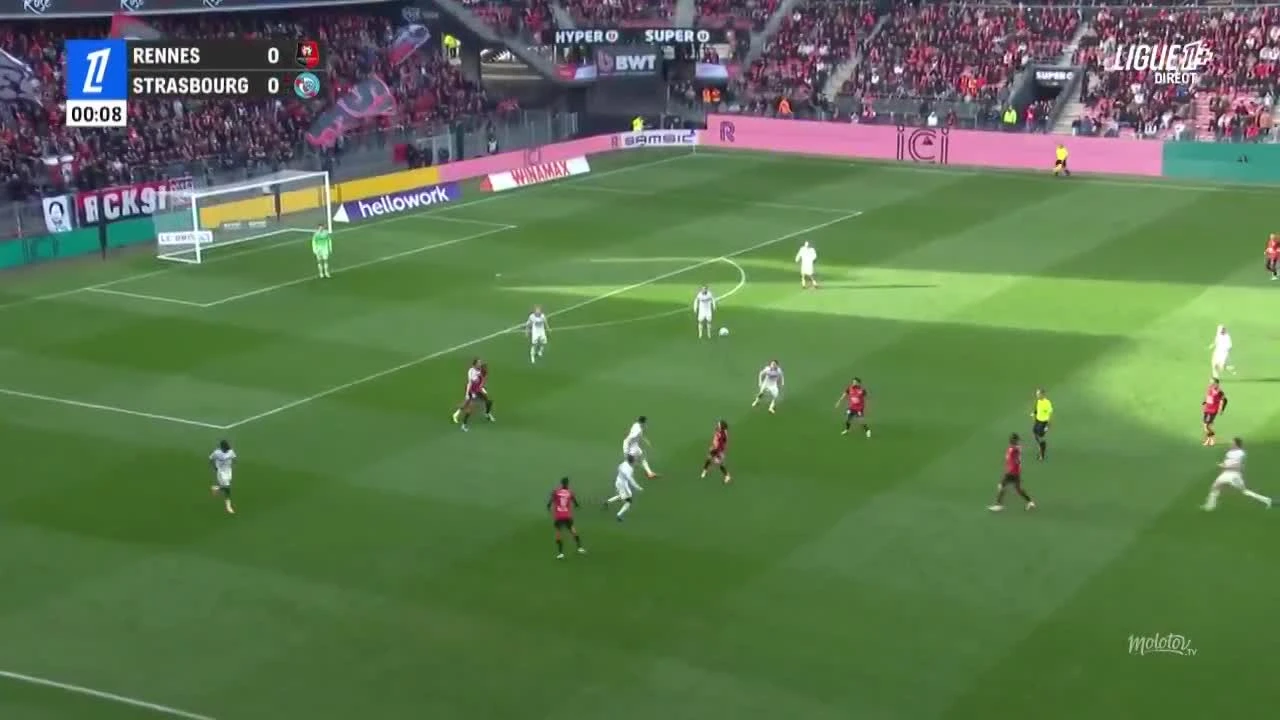 zaslepka skrotu video