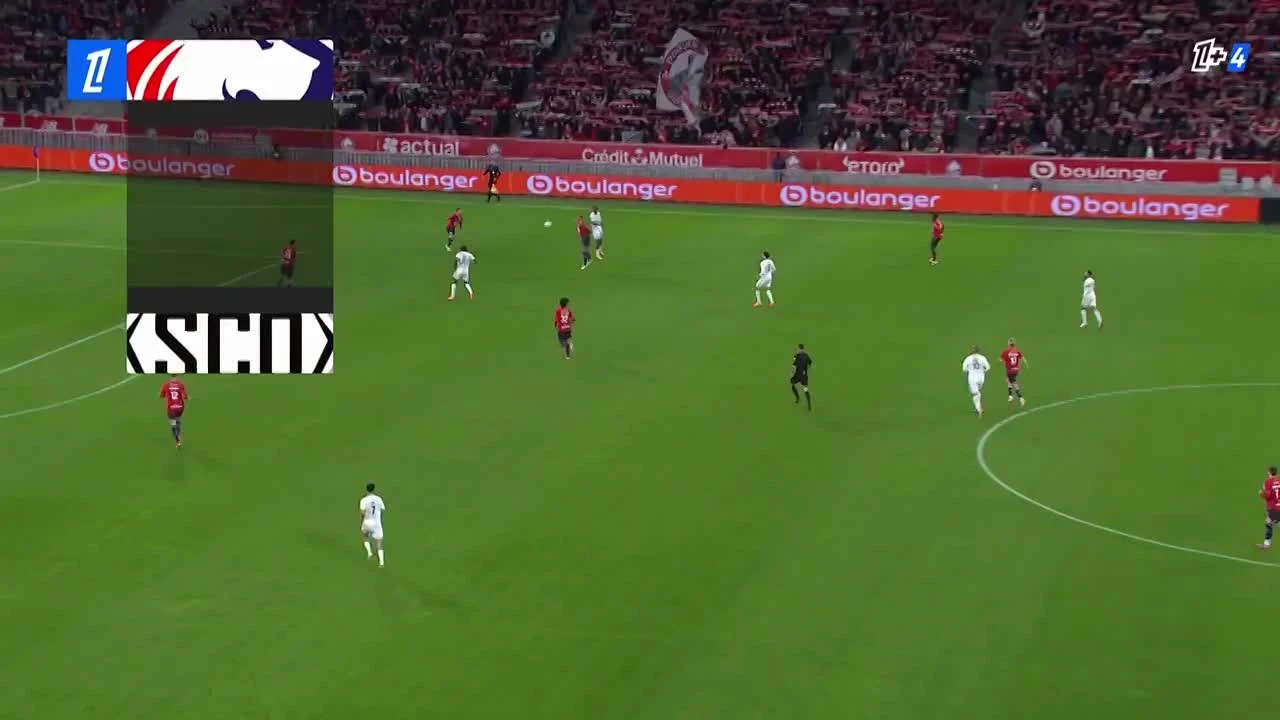 zaslepka skrotu video