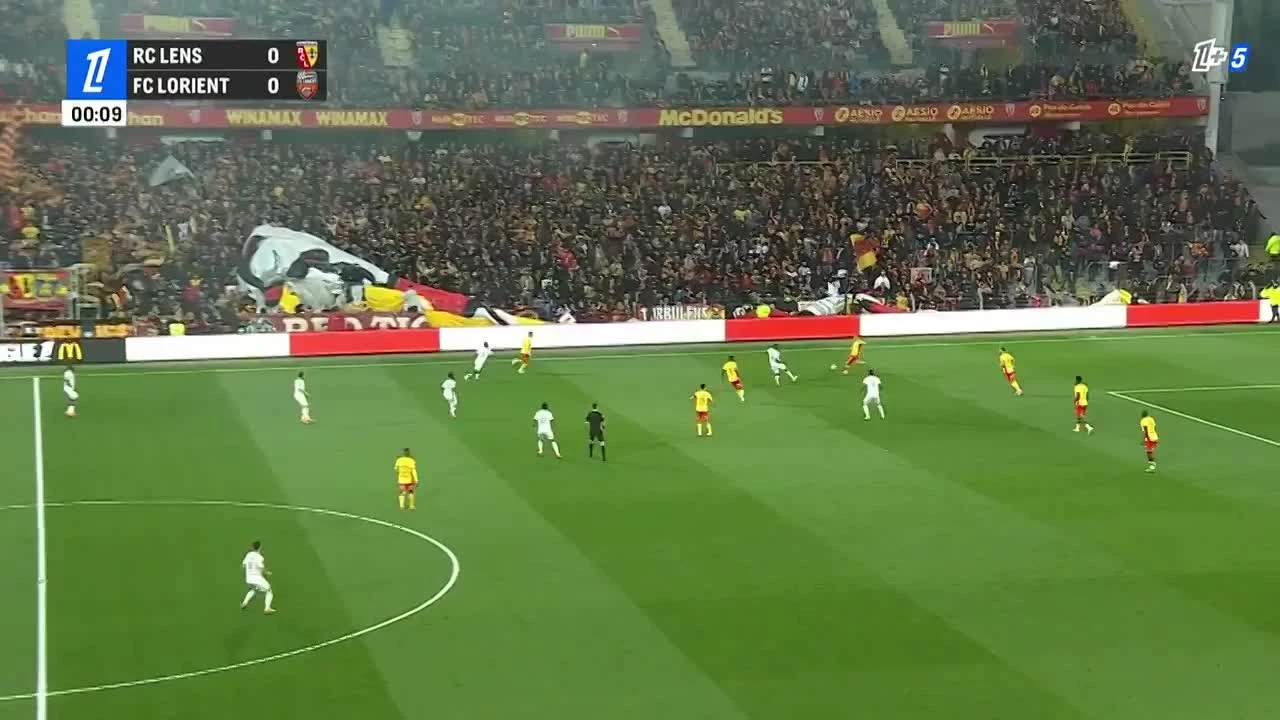 zaslepka skrotu video