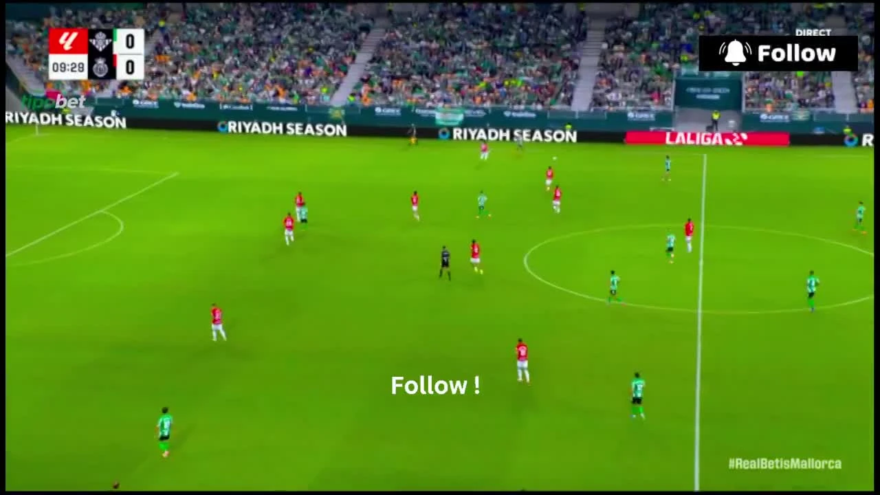 zaslepka skrotu video