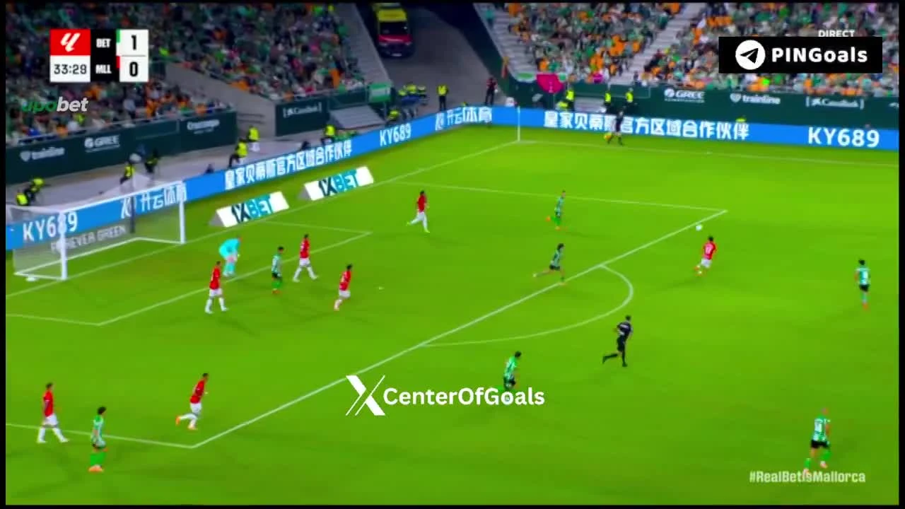 zaslepka skrotu video