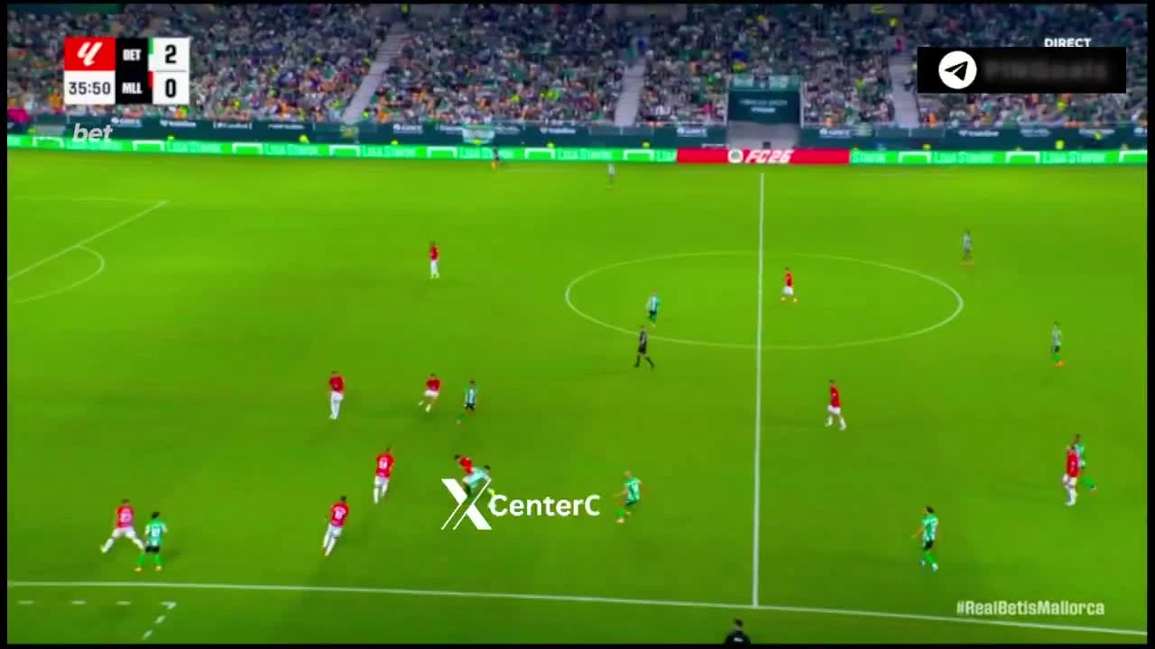 zaslepka skrotu video