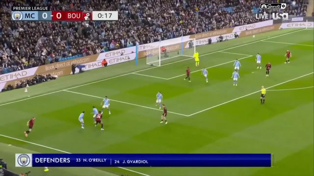 zaslepka skrotu video