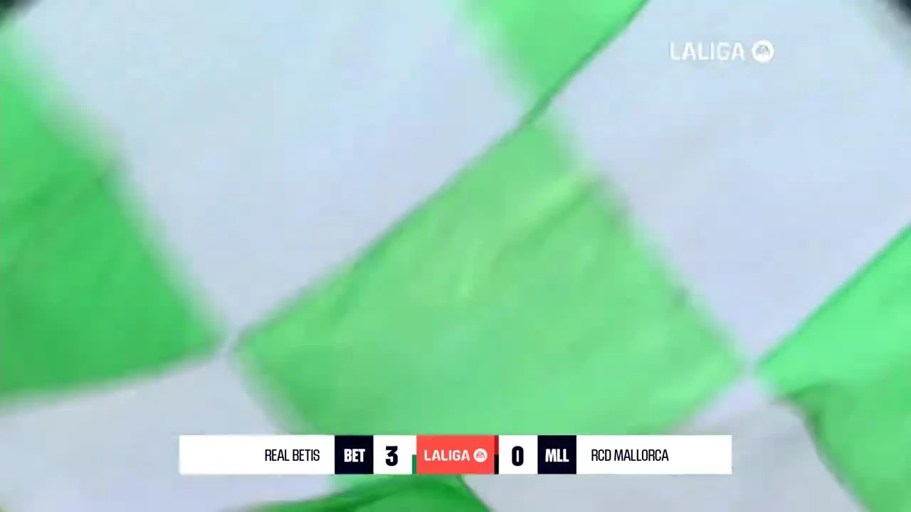 zaslepka skrotu video