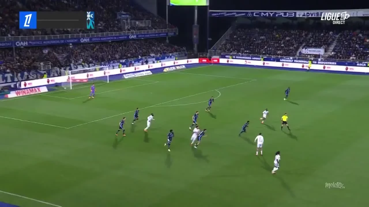 zaslepka skrotu video