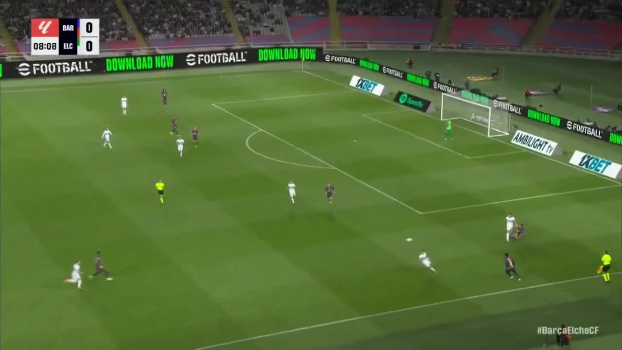 zaslepka skrotu video