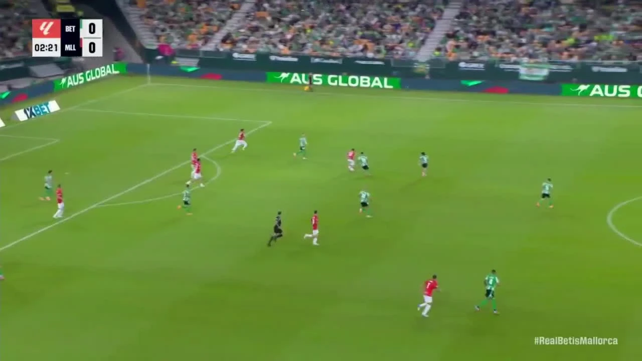 zaslepka skrotu video