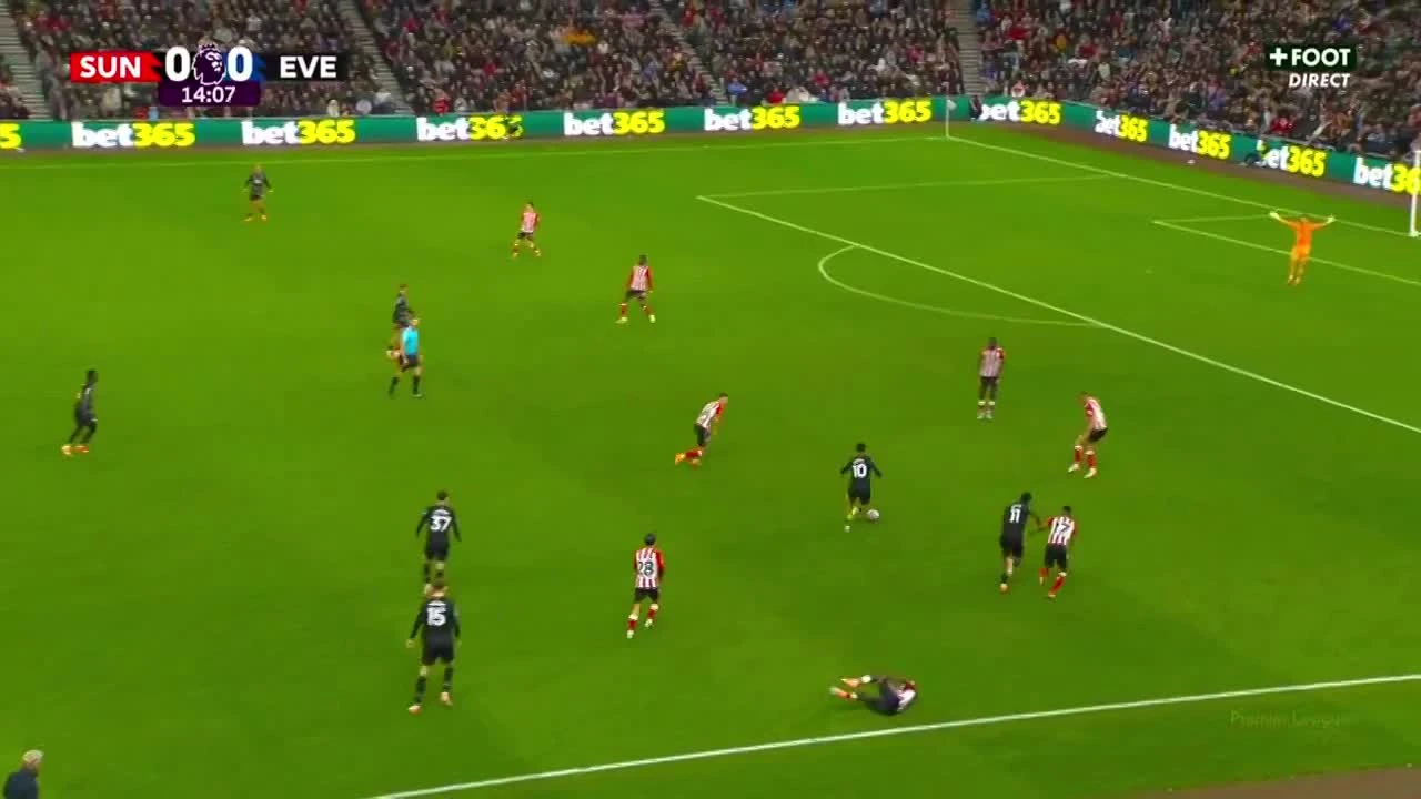 zaslepka skrotu video