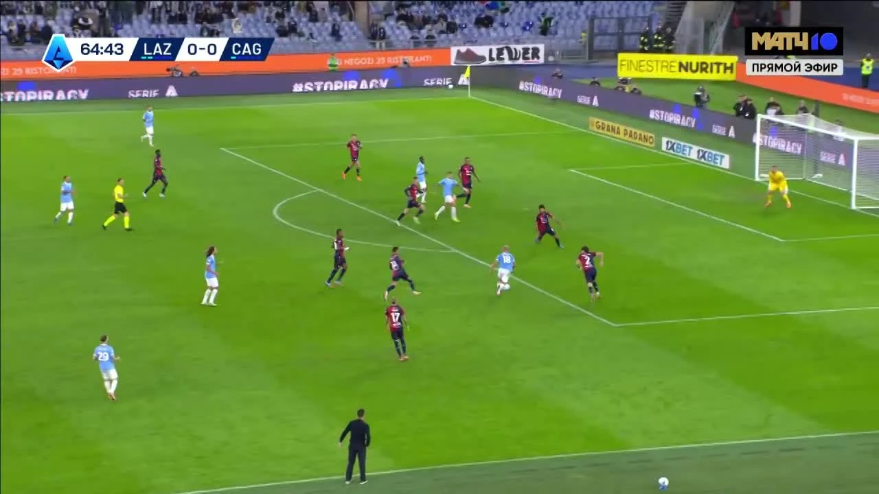 zaslepka skrotu video