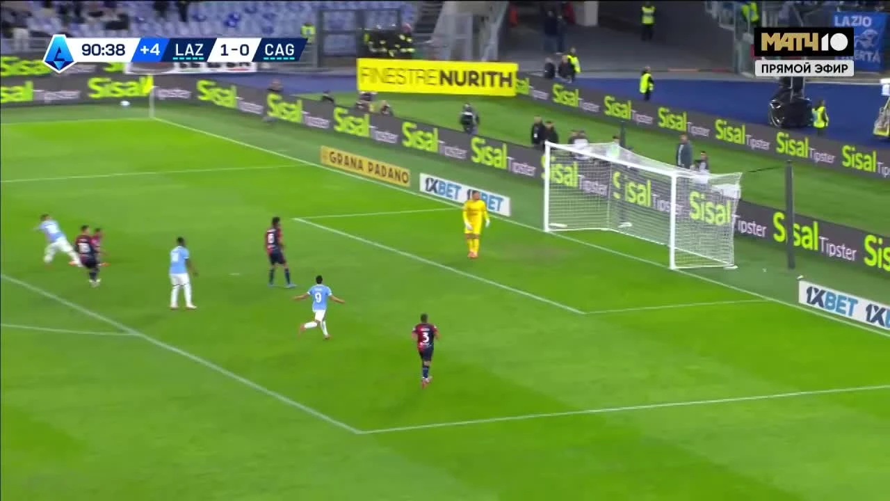 zaslepka skrotu video