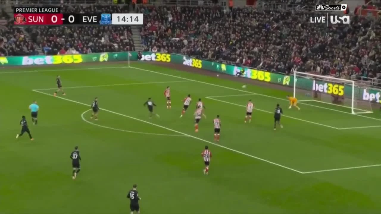 zaslepka skrotu video