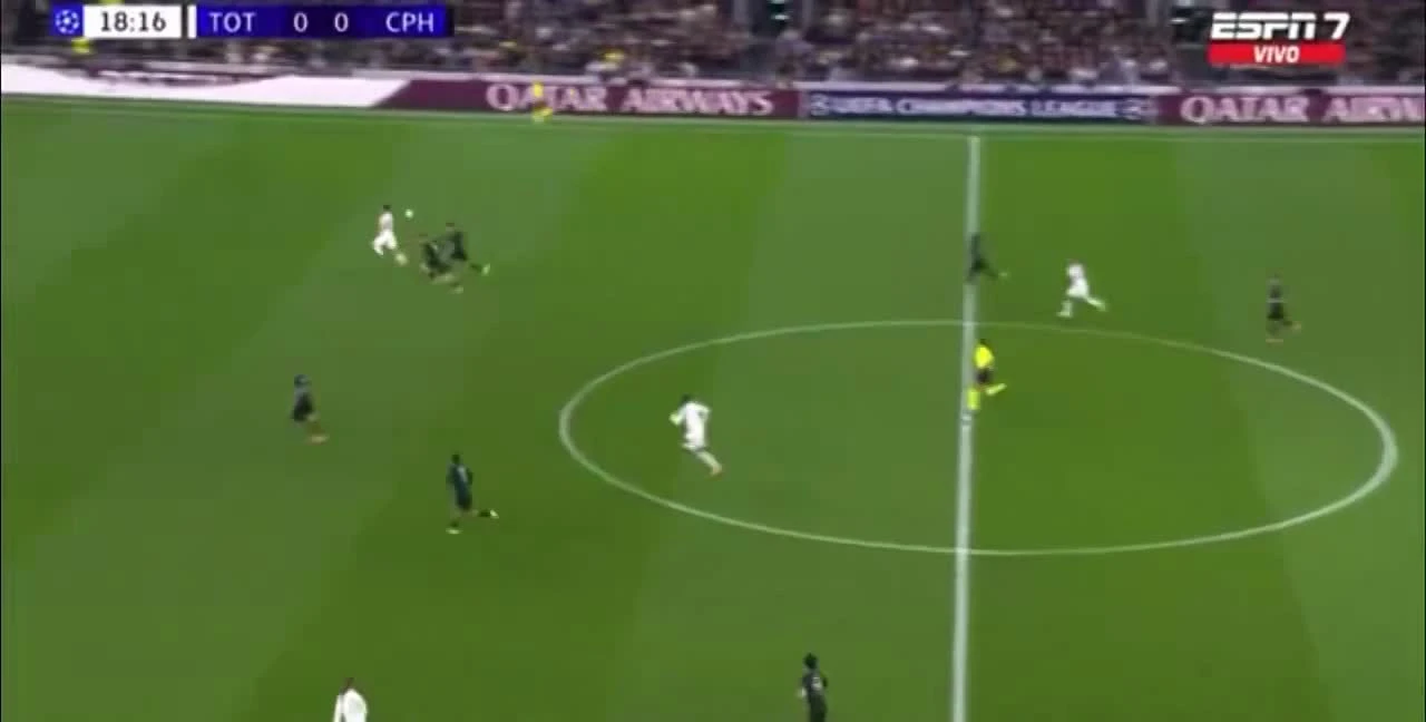 zaslepka skrotu video