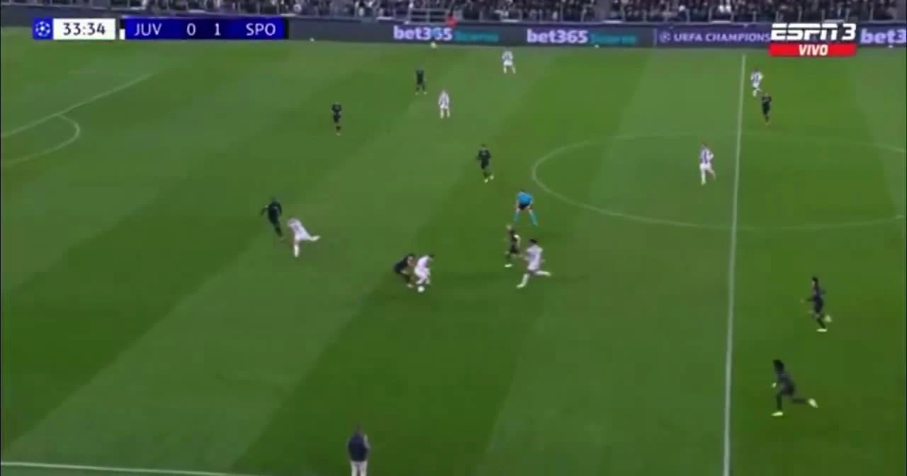 zaslepka skrotu video