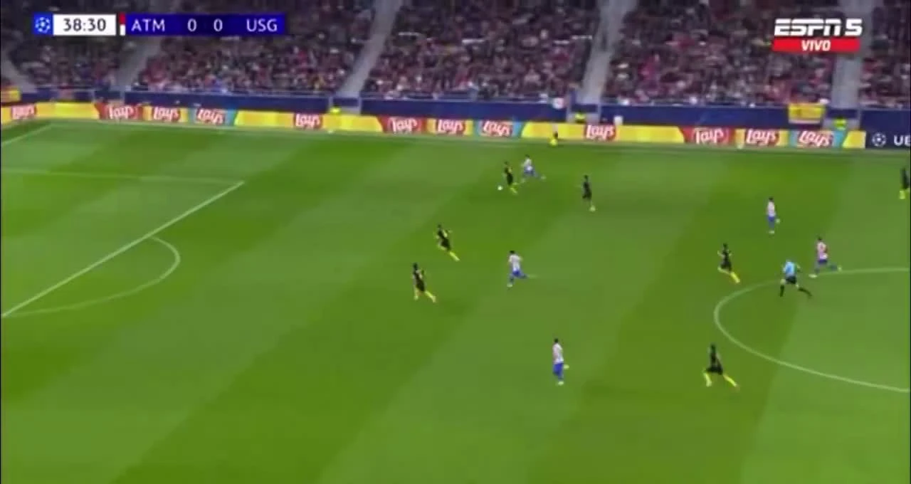 zaslepka skrotu video