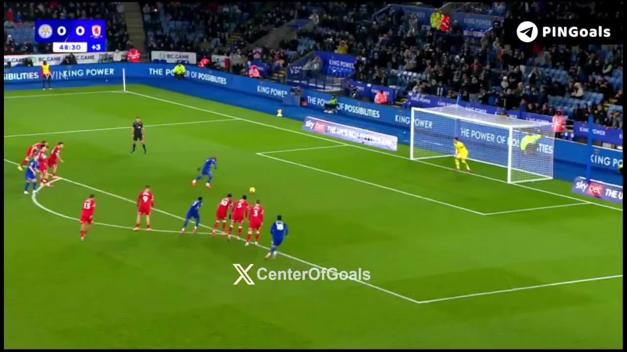 zaslepka skrotu video