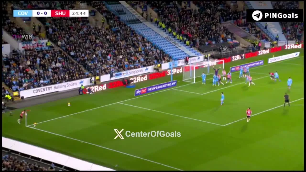 zaslepka skrotu video