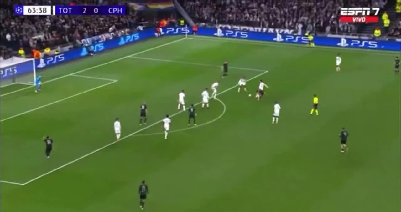 zaslepka skrotu video