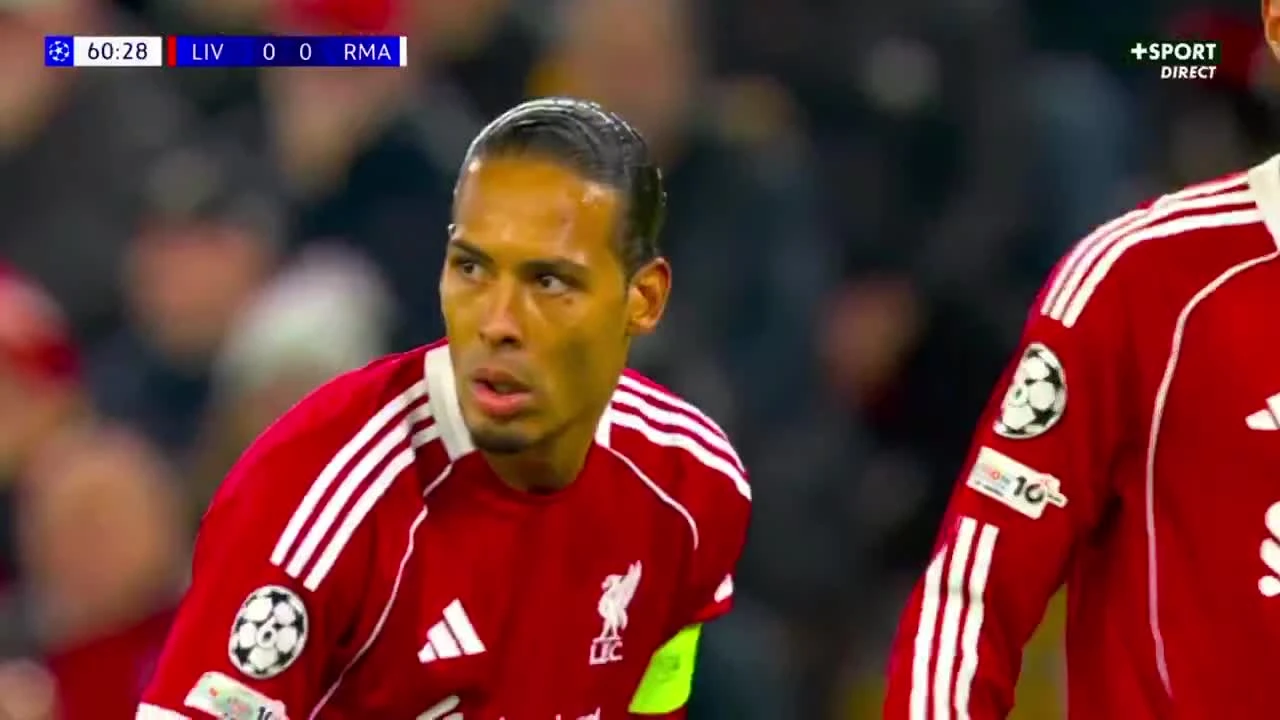 zaslepka skrotu video