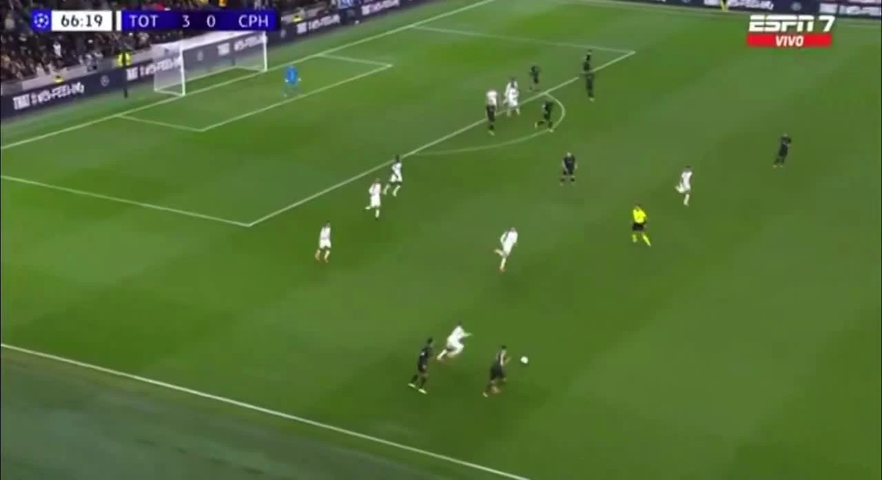 zaslepka skrotu video