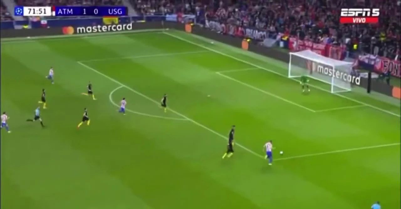 zaslepka skrotu video