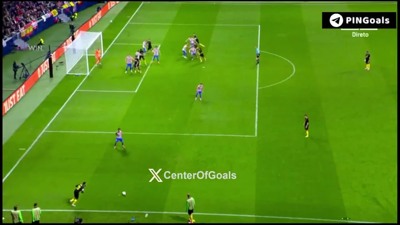 zaslepka skrotu video