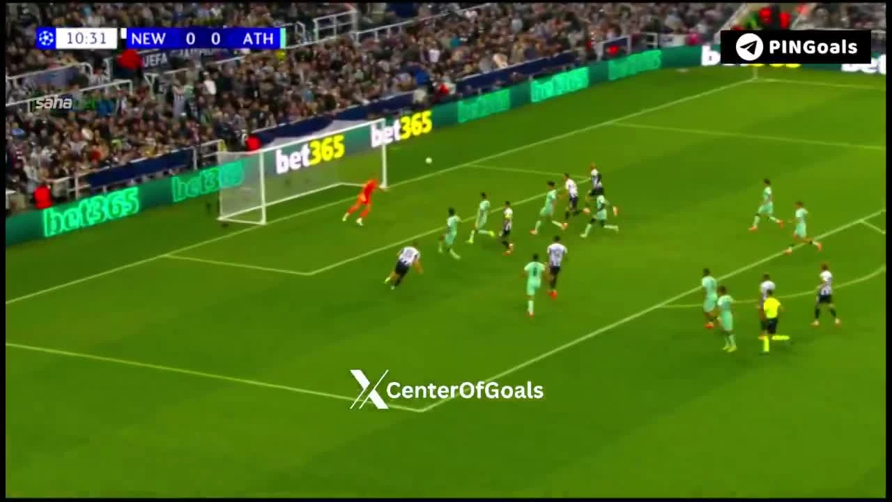 zaslepka skrotu video