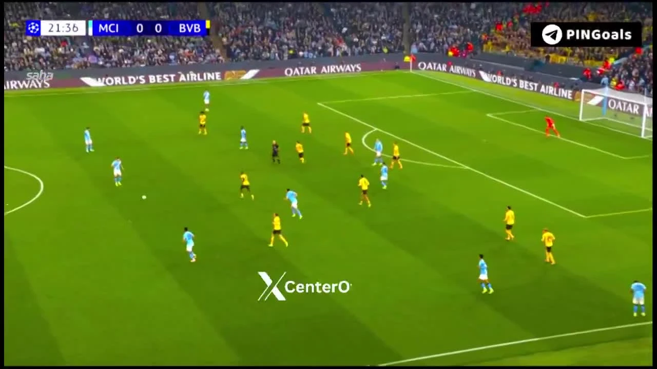 zaslepka skrotu video